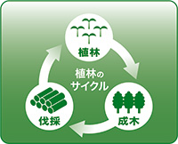植樹のサイクル